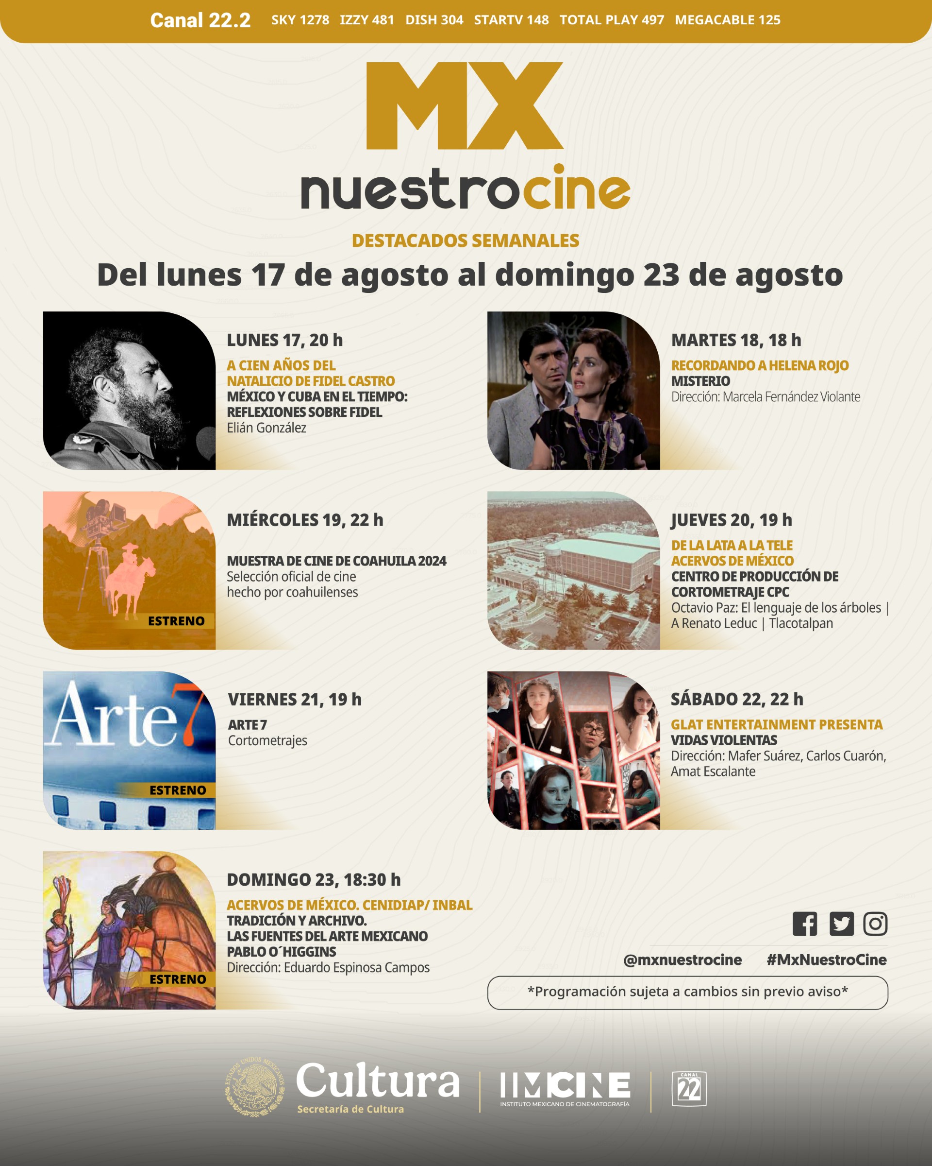 Imagen ampliada